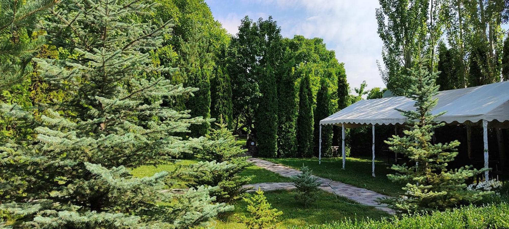 Aya Maria Wellness Spa Resort Dzoraghp'yur Exterior photo
